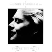 You are the Voice ----- John Farnham ----- 
John Farnham ist ein Snger mit australischen Wurzeln dem im Jahr 1987 mit dem Song "You are the Voice" ein internationaler Erfolg gelungen ist.<br>
Der Song war in vielen Lndern ein TopTen Hit, in Deutschland sogar ein Number One Erfolg.<br>
Andere jedoch nicht so erfolgreiche Titel waren "Pressure Down" ,
"Age of Reason" , "That's Freedom" , "Seemed Like a Good Idea at the Time" und
"Everytime You Cry"

